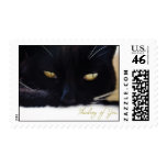 Thinking of You Cat Stamp stamps