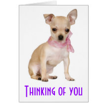 Thinking of You Chihuahua Puppy Dog Greeting Card