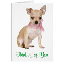 Thinking of  You Chihuahua Puppy Dog Greeting Card