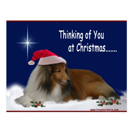 Thinking of You Christmas Postcard  Zazzle