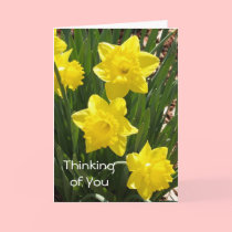 "Thinking of You" Daffodil Card cards
