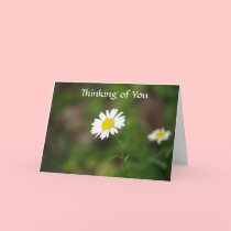 "Thinking of You" Daisy Card cards