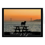 Thinking of you Dog in Sunset greeting card
