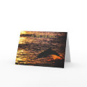 thinking of you ...dolphin sunset jump cards
