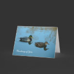 Thinking of You | Ducks cards