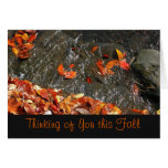 Thinking of You Fall Waterfall Card