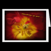 Thinking of You floral card