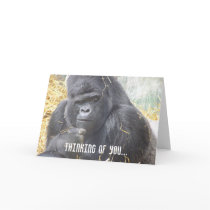 Thinking of You Gorilla Card by angeleyes_9136 Thinking of You Gorilla Card