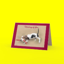 Thinking of You!...Greeting Card. cards