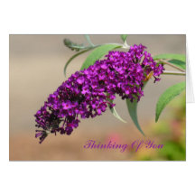 Thinking of You Greeting Card