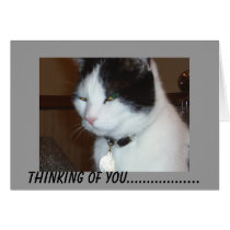 Thinking of You..................Greeting Card cards