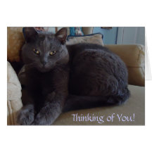 Thinking of You Greeting Card