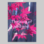Thinking of You cards
