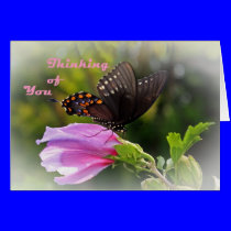Thinking of you cards