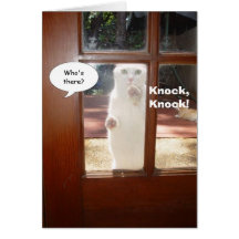 Thinking of You Greeting Cards
