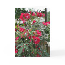 Thinking of You, Joy & Blessings, Roses Card