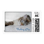 Thinking of You Kitty stamps