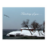 Thinking-of-you /Lakescape Postcard