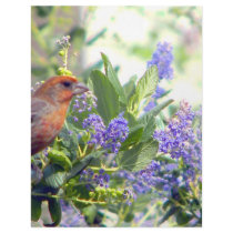 Thinking of You_ letterhead by zazzlegirboy09 Thinking of You_ letterhead