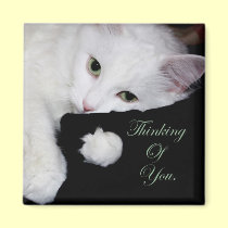 Thinking of You.. magnets