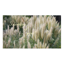 Thinking of You! Message Card profile cards