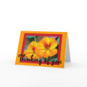Thinking of you-Nasturtiums Card