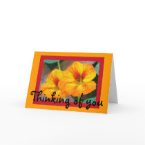 Thinking of you-Nasturtiums Card