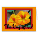 Thinking of you-Nasturtiums Card by ggbythebay Thinking of you-Nasturtiums Card