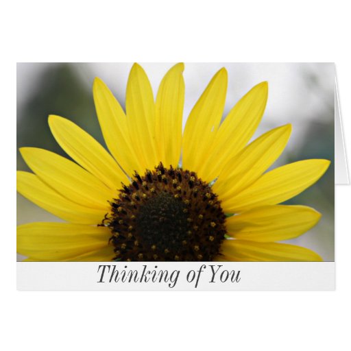 Thinking Of You Note Card Zazzle