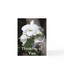 Thinking of You Note Cards