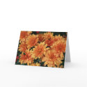 Thinking of You Orange Mums cards by angelspiritme Thinking of You Orange Mums cards