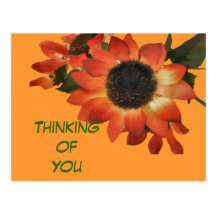 Thinking Of You Orange Sunflower Postcard