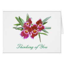 Thinking of You Orchids Spray Card