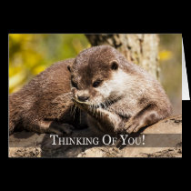 Thinking Of You Otter Greeting Card cards