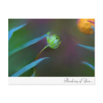 Thinking of You... Painted Gift Set  (peaceful) postcards
