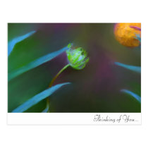 Thinking of You... Painted Gift Set  (peaceful) postcards