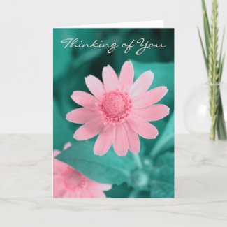 Thinking of You - Pale Pink Flower card