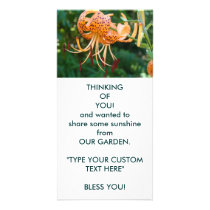 THINKING OF YOU! Photo Cards Share Some Sunshine photo cards
