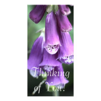 Thinking of You! photo cards by celtxian Thinking of You! photo cards