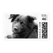 Thinking of you postage