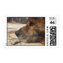 thinking of you postage