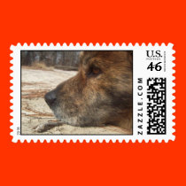 thinking of you postage by lissame73 thinking of you postage