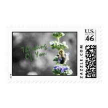 Thinking of You! Postage Stamps