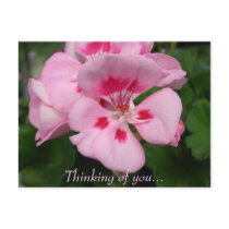 Thinking of you... postcards by bkang22 Thinking of you... postcards