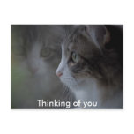 Thinking of you post card