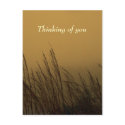 Thinking of you postcards