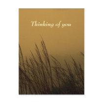 Thinking of you postcards by riverme Thinking of you postcards