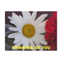 THINKING OF YOU postcards