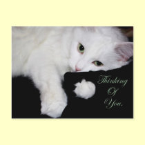Thinking of You.. postcards