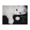 Thinking of You.. postcards